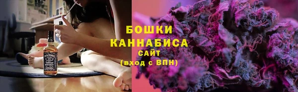 твердый Алзамай