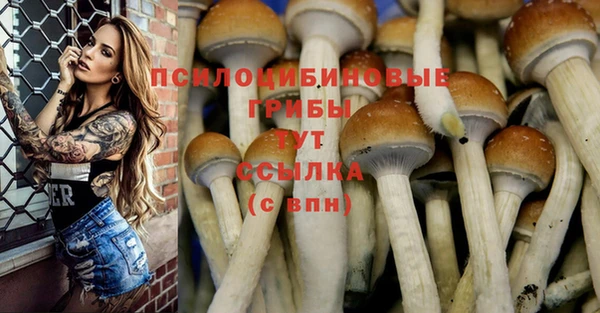герыч Алексин