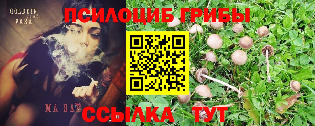 Родники  Галлюциногенные грибы GOLDEN TEACHER  Вход с VPN  Псилоцибиновые грибы MAGIC MUSHROOMS 