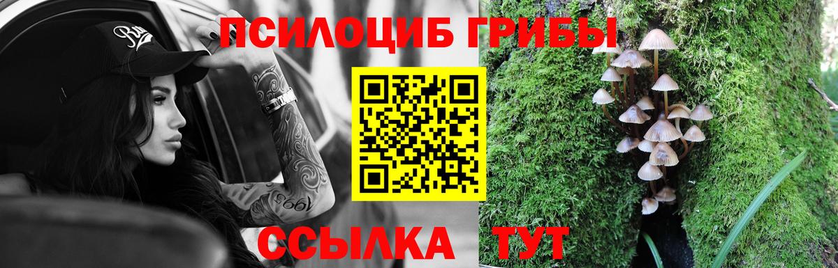 Галлюциногенные грибы прущие грибы Родники
